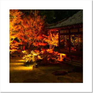 Photography - Japanse fall at night Posters and Art